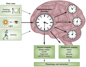 Nature Reviews Neurology